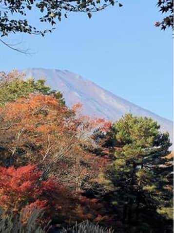 景色