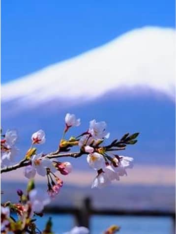 景色