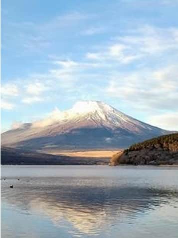 景色